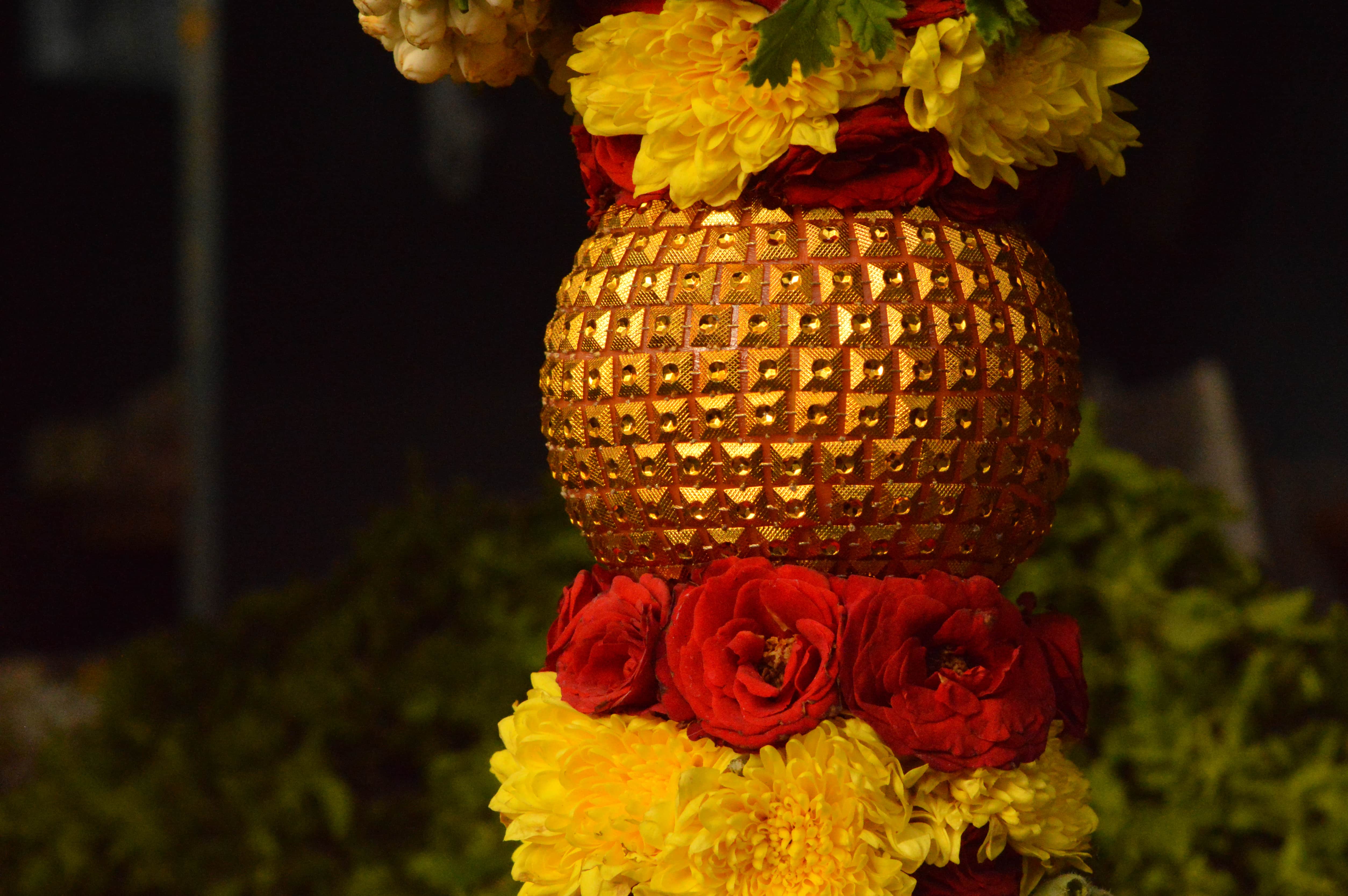 camera photography image 1