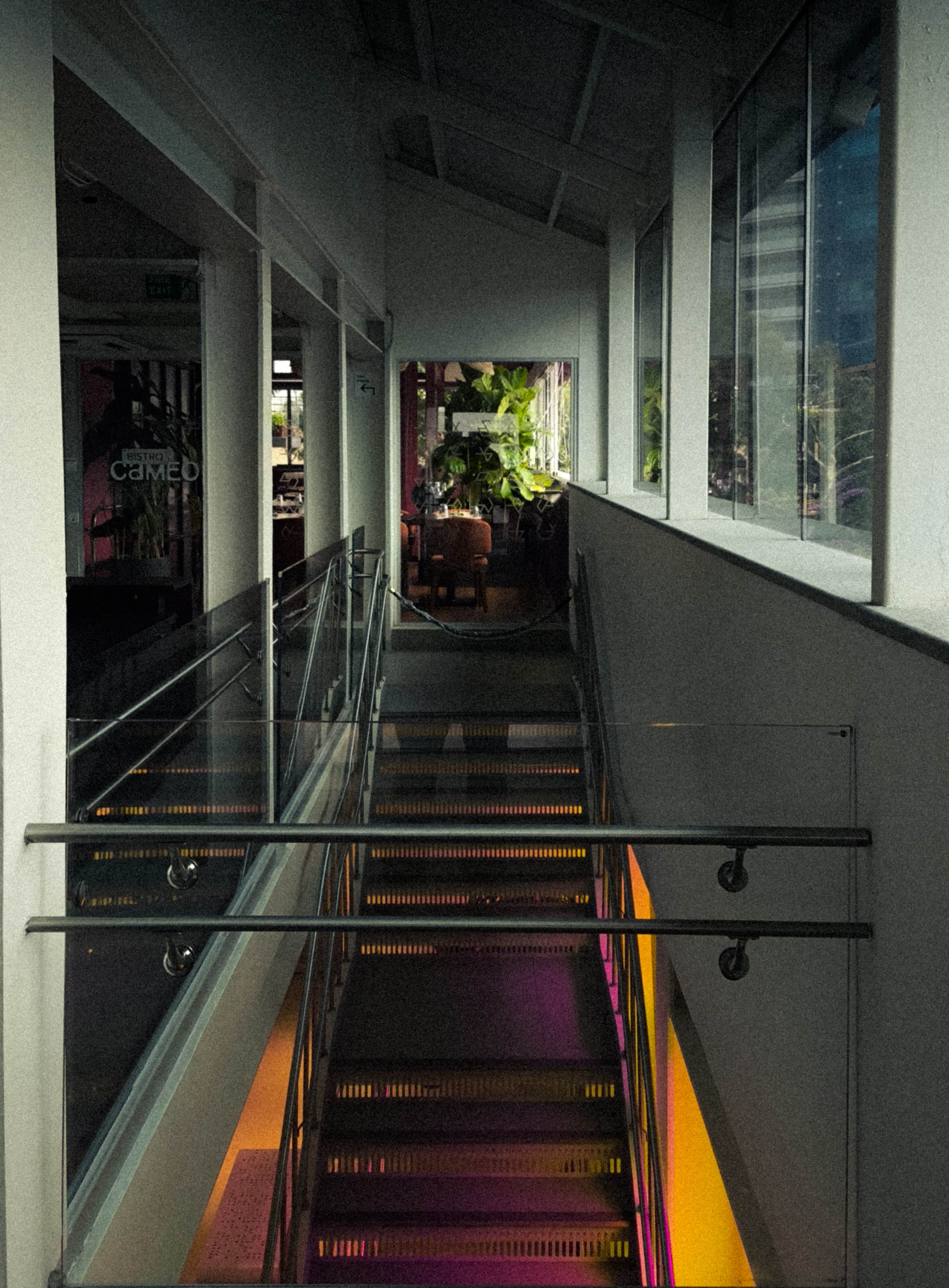 mobile photography image 1