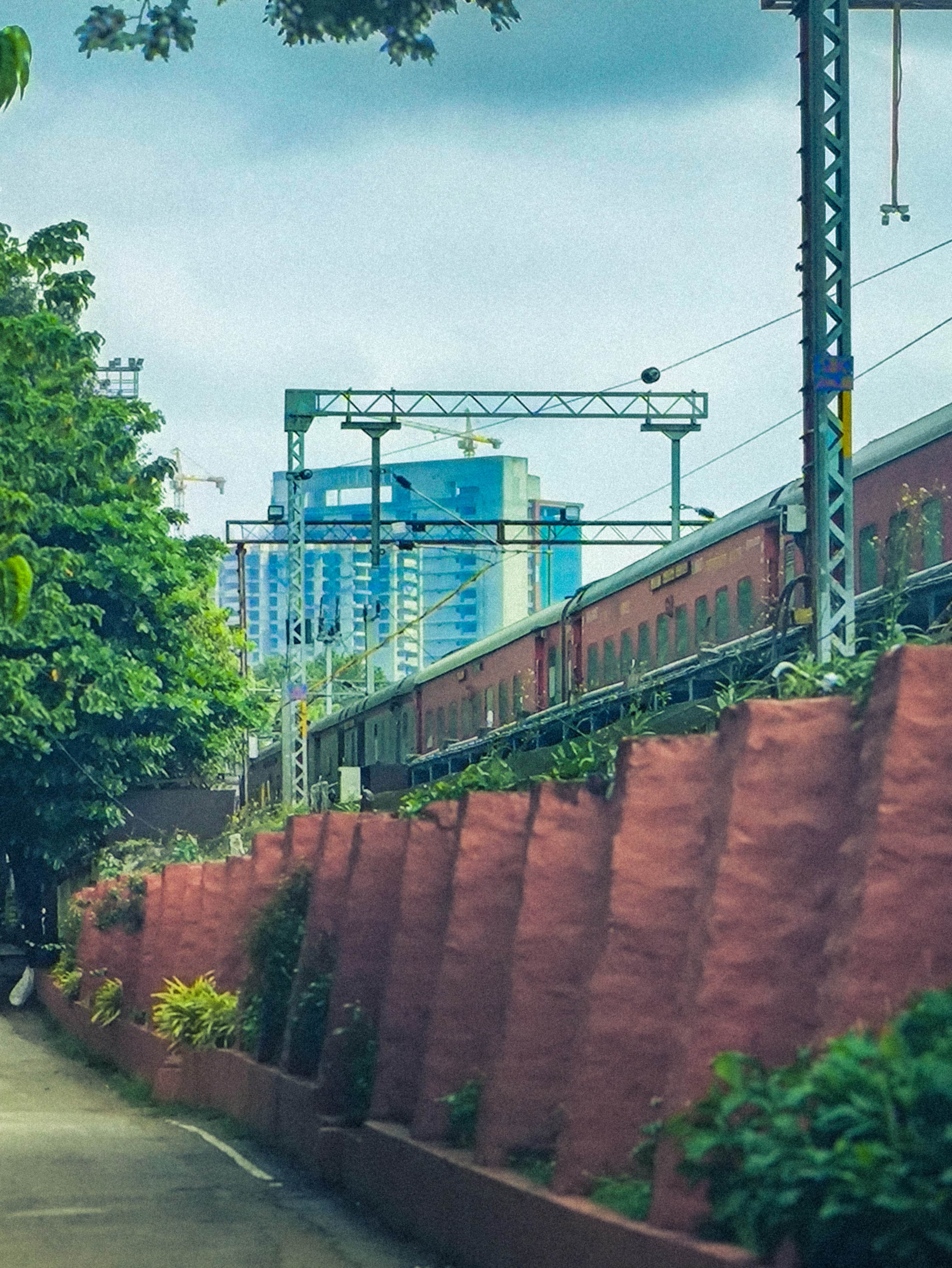 mobile photography image 1